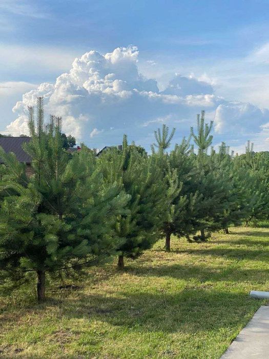 Продаж земельної ділянки Івачів