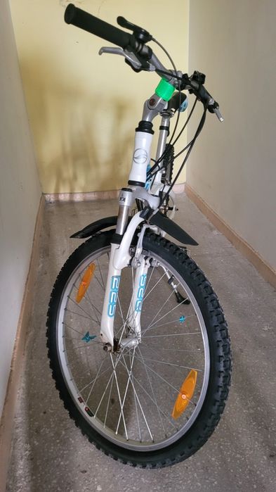 Rower giant 24''