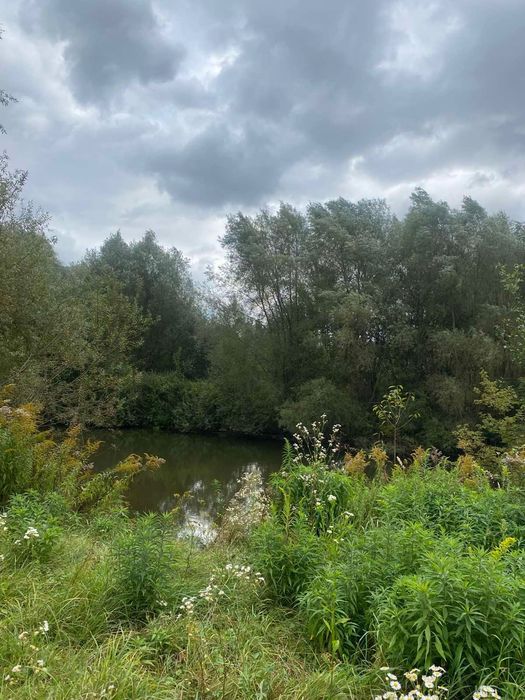 Продам землю в Колоденці 10.5 сот р поруч став