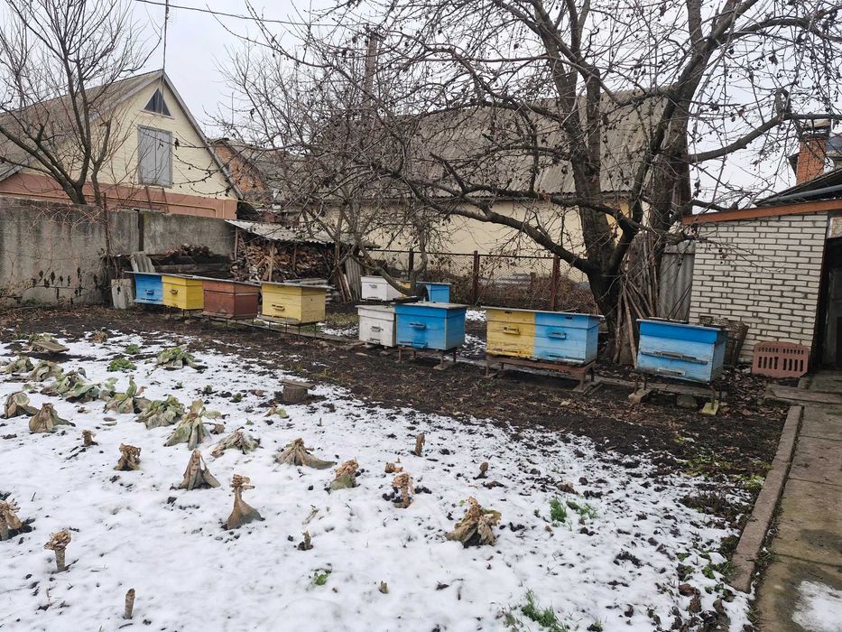 Вулики з бджолами