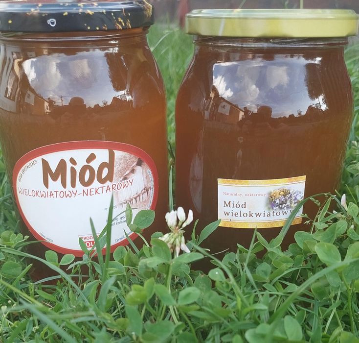 Miód wielokwiatowy