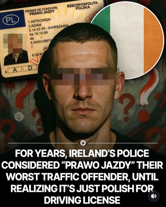 Przyjemny Angielski  :) - rozmowa, korepetycje, certyfikaty & egzaminy