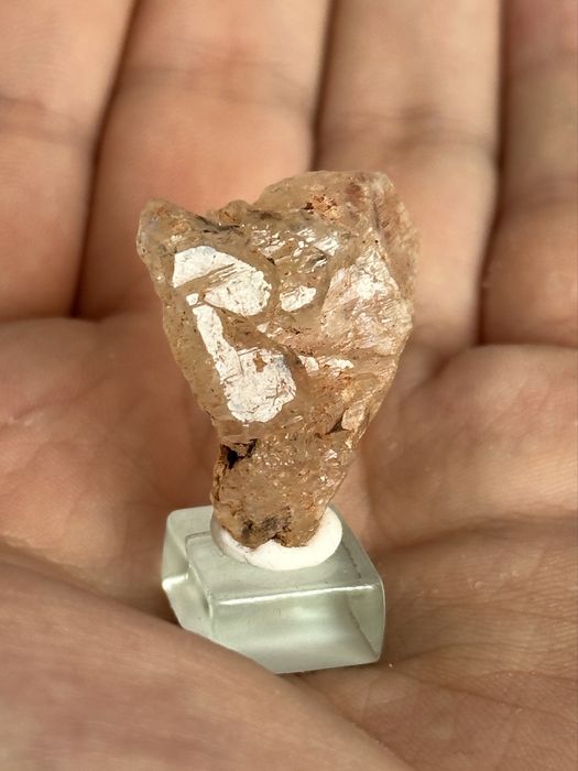 Kwarc z inkluzjami ropy naftowej - Pakistan