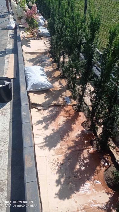 Kompleksowe zakładanie ogrodów