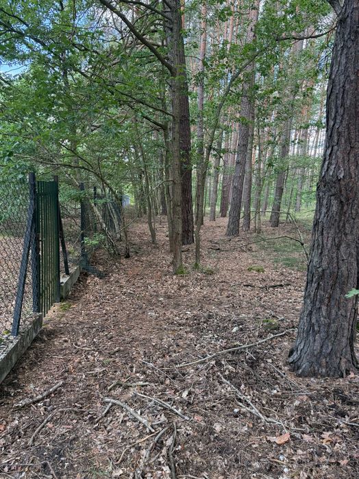 Działka budowlana 1373 m² - KONEWKA k/Spały - Widok 2