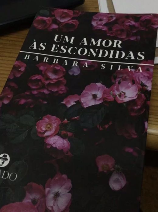 Um amor às escondidas (Livro de Desenvolvimento Pessoal e Auto-ajuda)