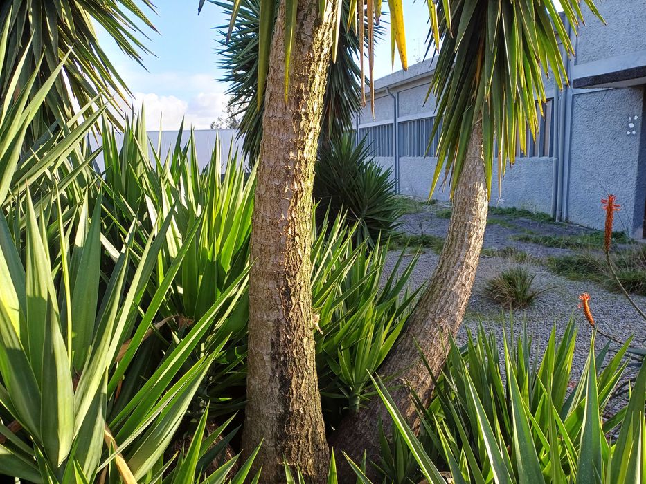 PAVILHÃO INDUSTRIAL