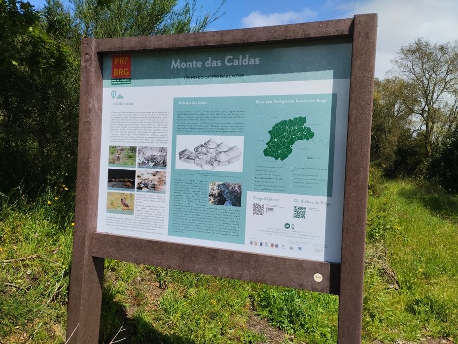 Permuto terreno com 5 hectares em Sequeira (Braga)