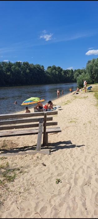 Дом - дача  на Десне, 15 км. от Киева. Сады Зазимье.