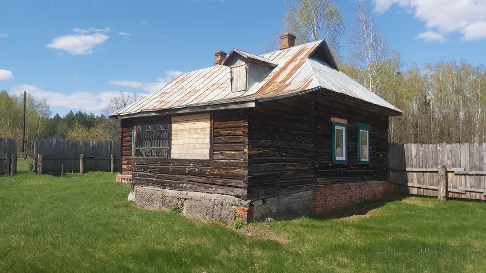 Будинок на хуторі, хвойний ліс, мальовниче місце.