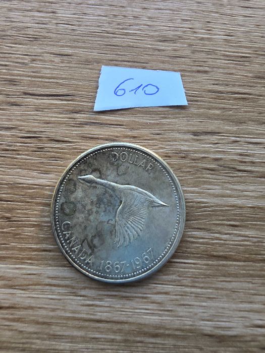 1 Dolar Kanada 1967 – Stulecie Konfederacji  Gęś