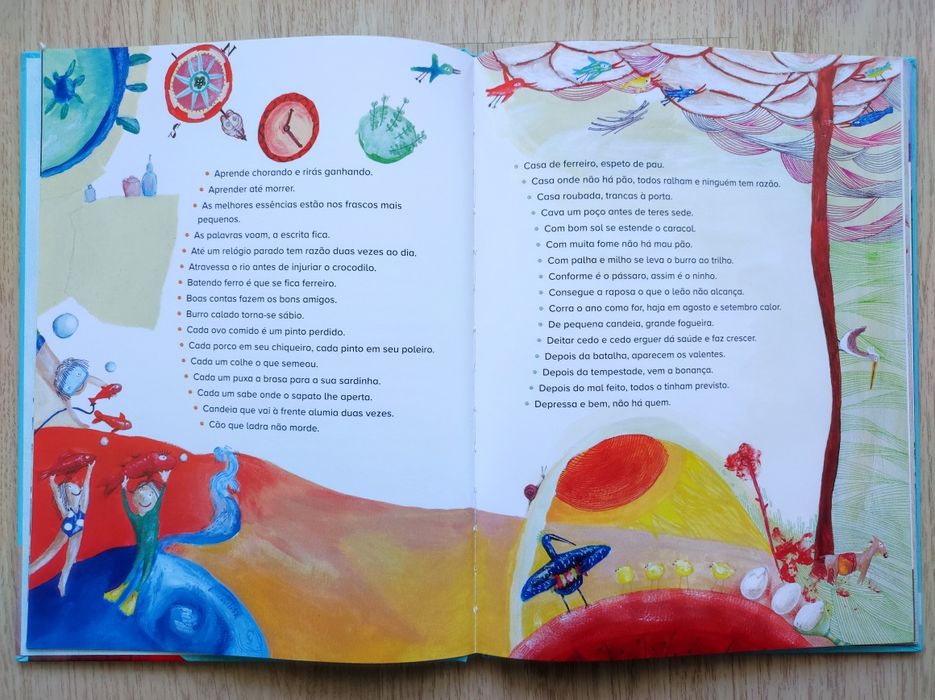 Livro "Provérbios Coloridos", Tiago Salgueiro, ilustração Elsa Navarro