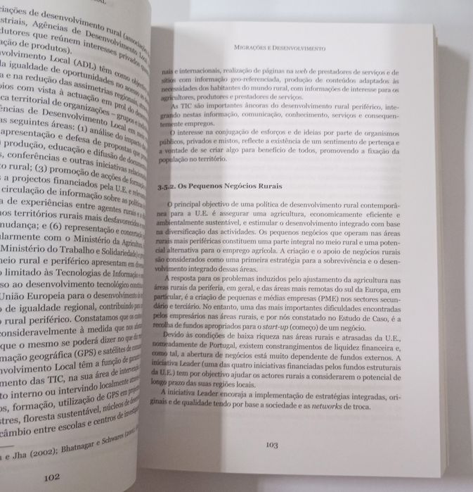 Migrações e desenvolvimento, de Maria Ortelinda Barros Gonçalves
