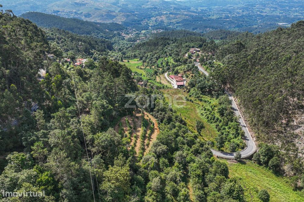 Terreno Rústico com Nascente em Seramil