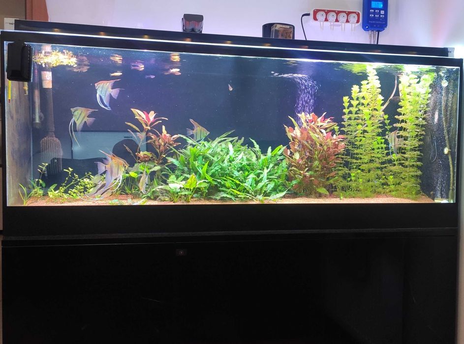 Akwarium z wyposażeniem