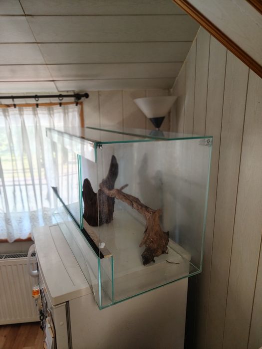 Terrarium z ozdobami Dębu