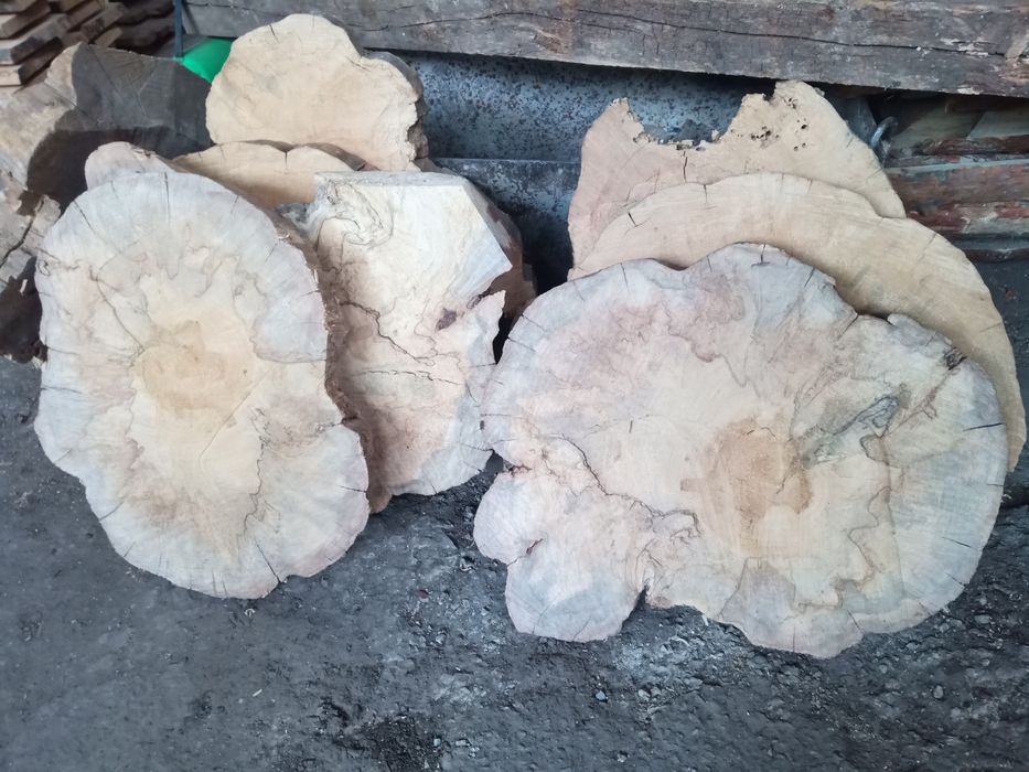 Слеби, зрізи дерева