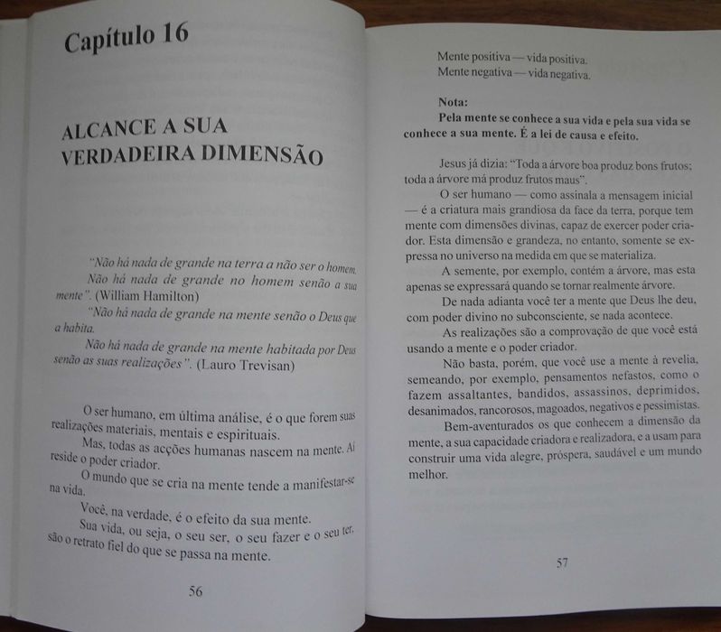 Sem Pensamento Positivo Não Há Solução de Lauro Trevisan