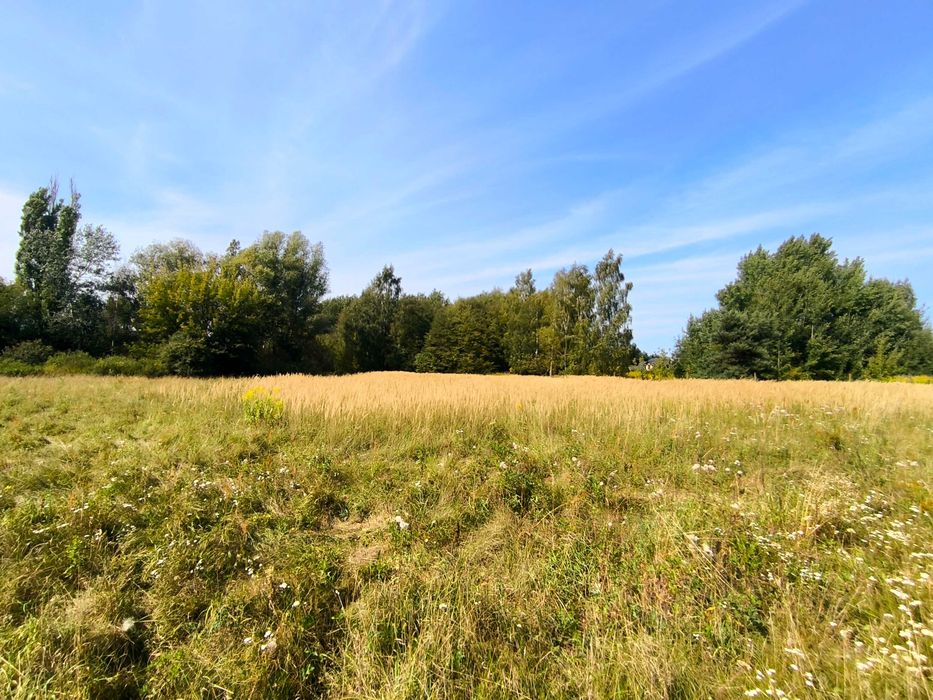 Działka usługowa 2000 m² MPZP, Kobylin k. Grójca - bez warunków zabudowy