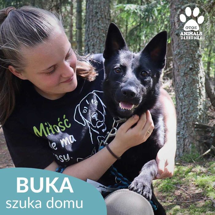 Buka szuka domu !
