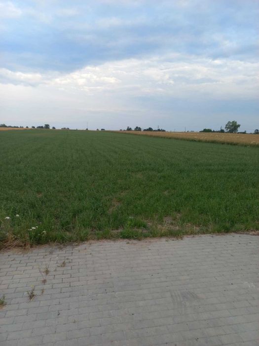 Działki budowlane na sprzedaż