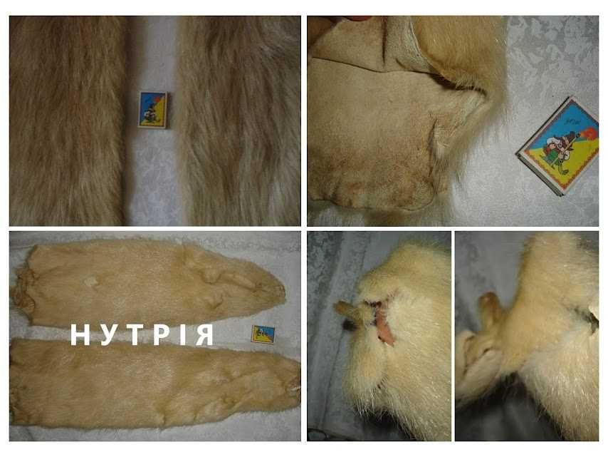 Мех/ХУТРО натуральне, НЕ фарбоване - НОРКА коричнева і НУТРІЯ бежева