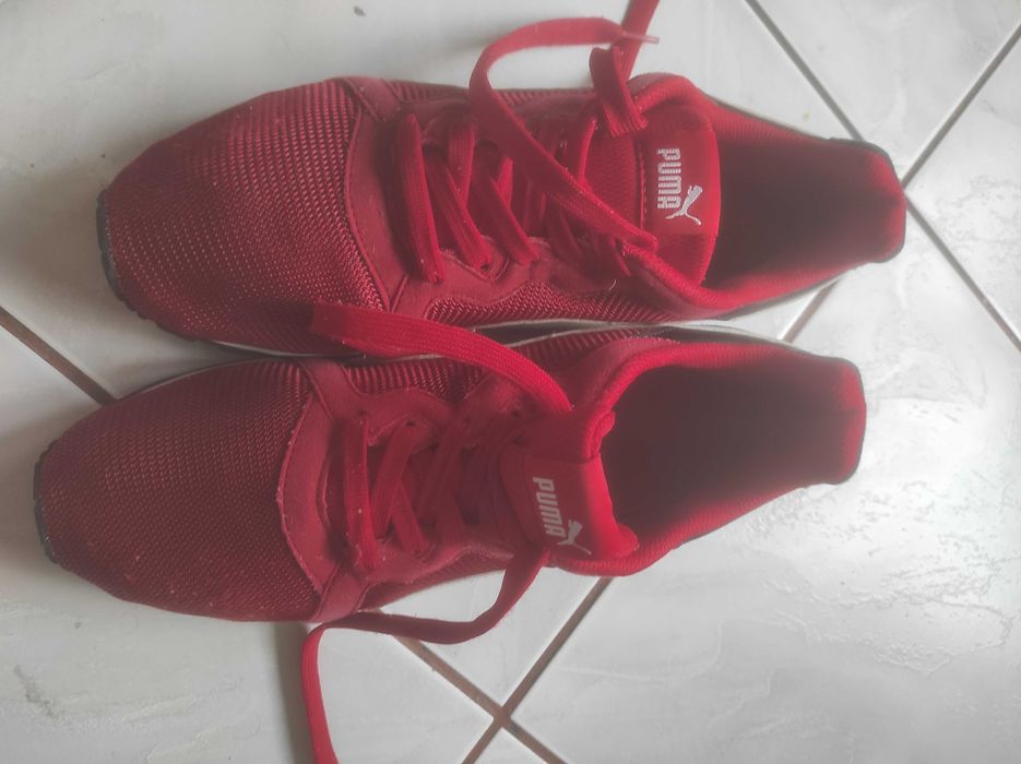 Buty puma rozmiar 43