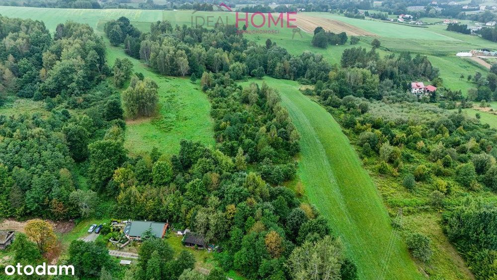 Nowy Borek 1,3675 ha- w trakcie Wz zagrodowa