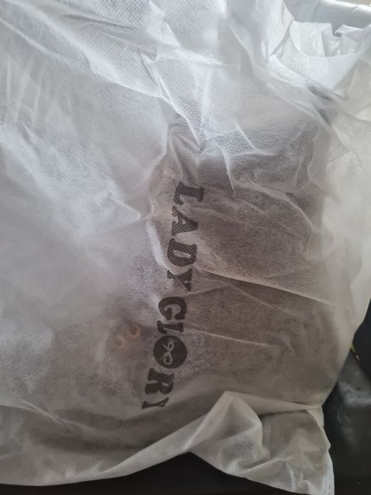 Lindíssimas botas forradas com pêlo são novas