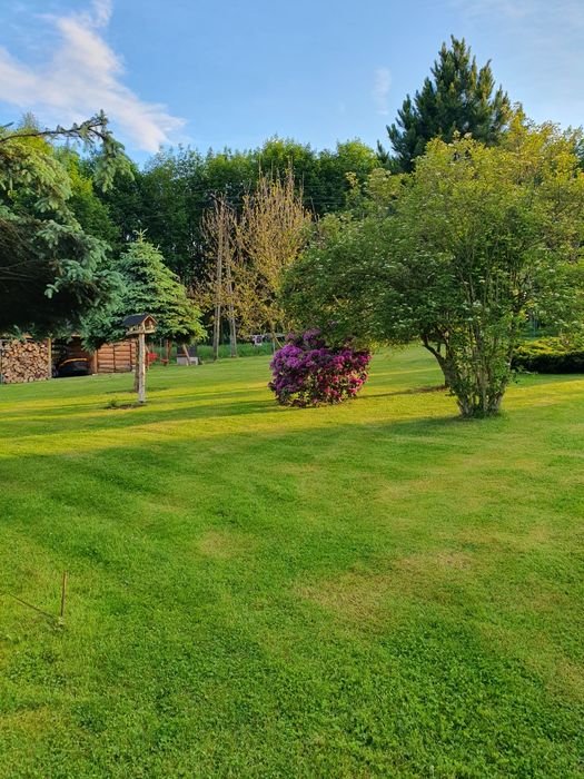 Zatrzymaj się -Apartamenty Stronie Śląskie