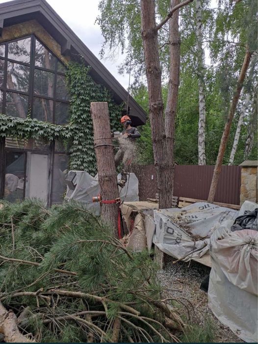 Спилить дерево, обрезка, удалить кронировать !