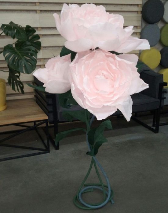 Ростові квіти для декору