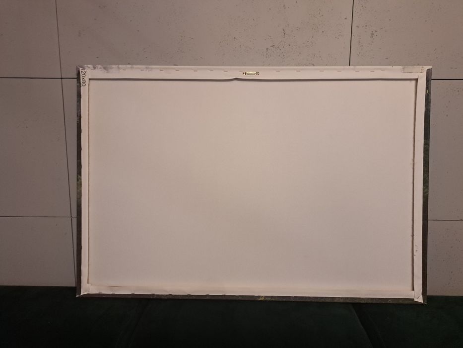 Obraz las we mgle mgła na płótnie foto tapeta 120x80