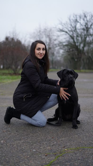 Дрессировка собак. Хендлинг