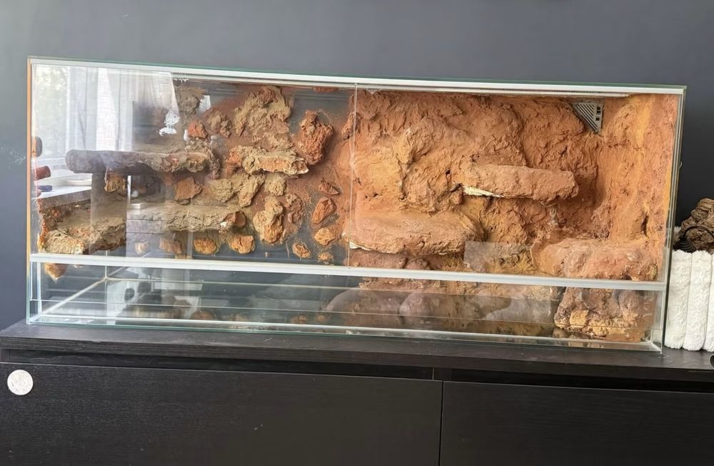 Terrarium Diversa agama