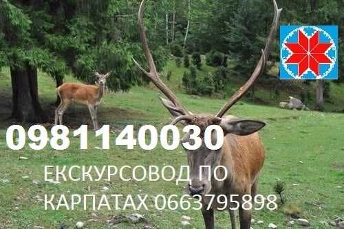 Екскурсовод по карпатах, Екскурсовод, Гід,Екскурсії,Походи в гори,тури