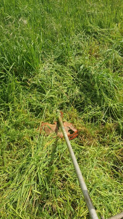 Limpezas de terrenos, poda etc