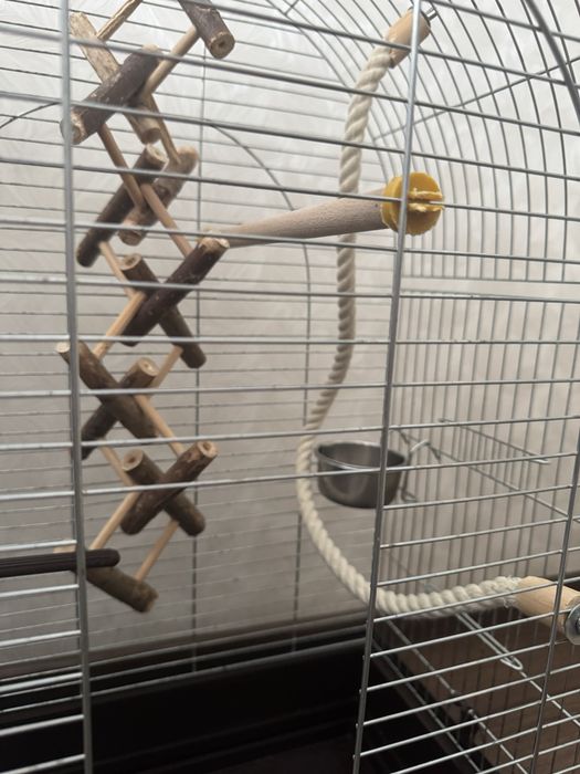 Клітка для папуги