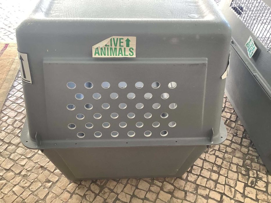 Caixa de Transporte Sky Kennel Grande – 81 × 62 × 61 cm