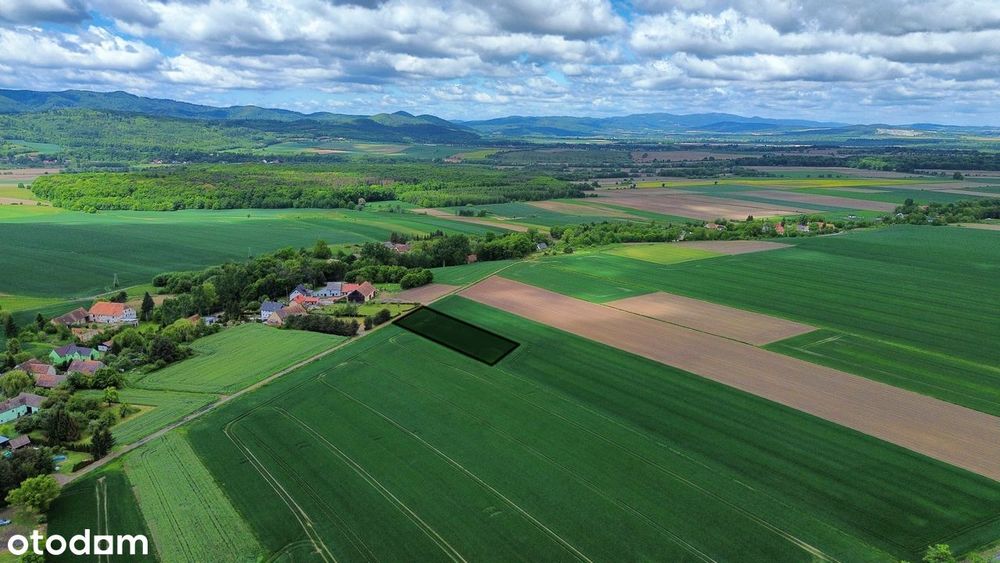 Działka budowlana 2032 m² w malowniczej okolicy Gór Złotych - View 6