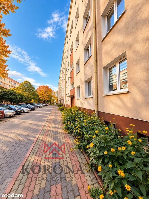 2 pokoje - parter, blok z cegły- idealne pod wynajem !