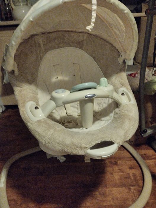 Bujaczek beżowy  z pozytywką