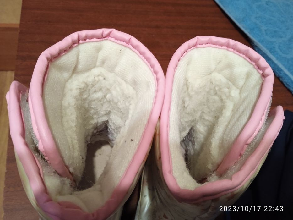 Дутики на дівчинку, 27 р