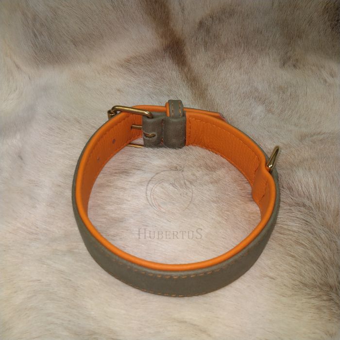 Obroża skórzana dla psa