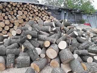 Продам дрова ДУБ и СОСНА,метровки,чурки и колотые