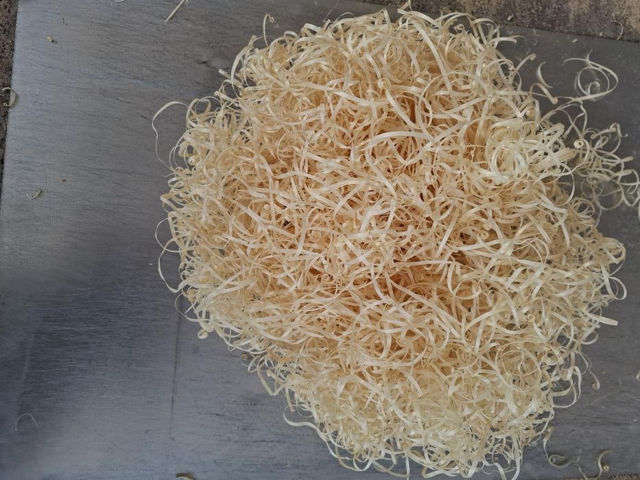 Wełna drzewna sucha cena za 1kg