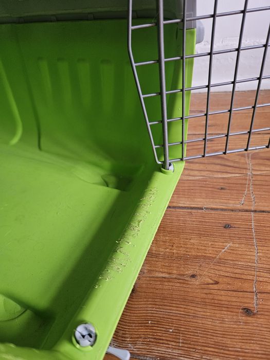 Caixa transportadora cao/gato