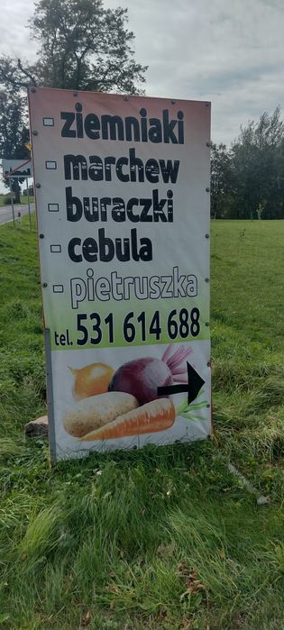 Buraczek czerwony ziemniaki marchew cebula pyry burak