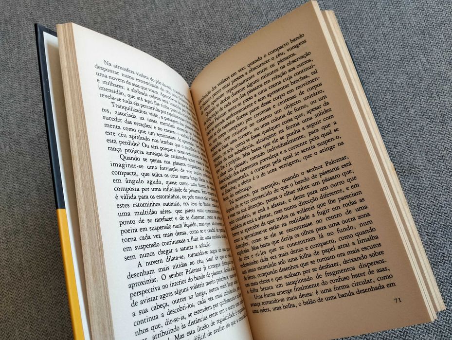 Livro "Palomar" de Italo Calvino