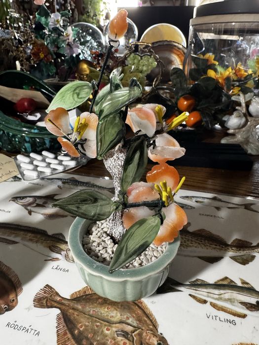 Ozdobne drzewka bonsai